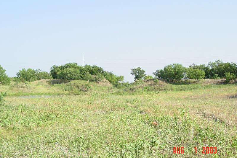 DSC02050.JPG