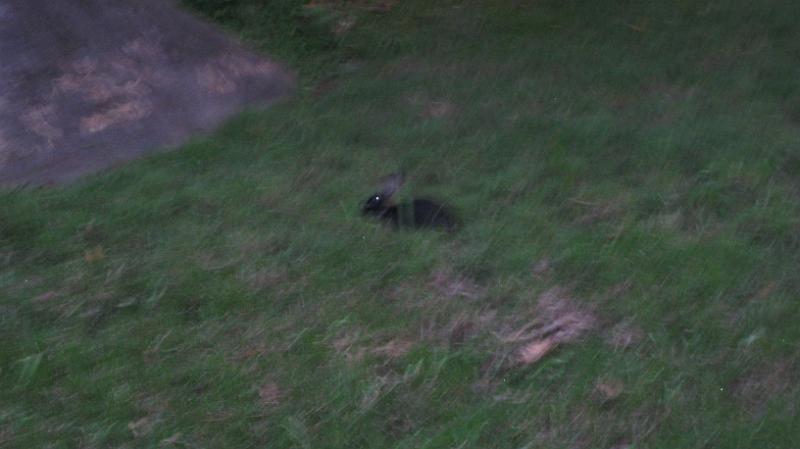 IMG_1992.JPG