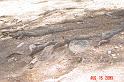 DSC02086