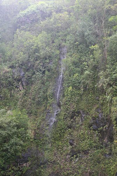IMG_4696.JPG