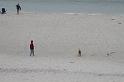 IMG_0450