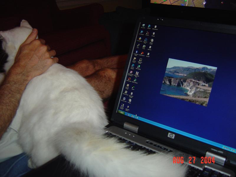 DSC01289.JPG