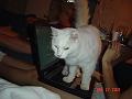 DSC01282