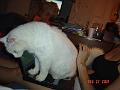 DSC01285
