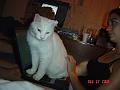DSC01286