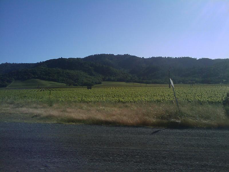 IMAGE_040.jpg