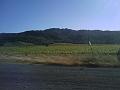 IMAGE_040