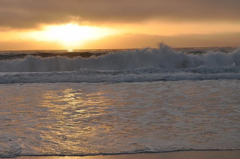 DSC_0905.JPG