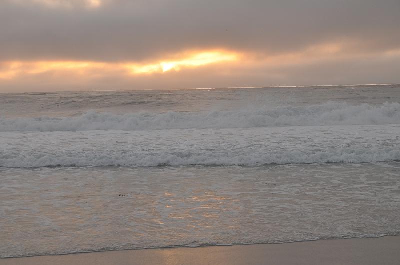 DSC_0911.JPG
