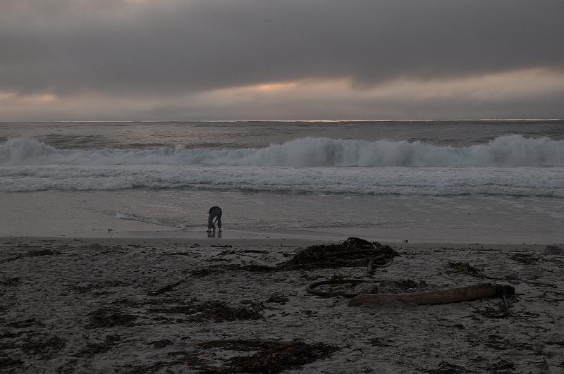 DSC_0915.JPG