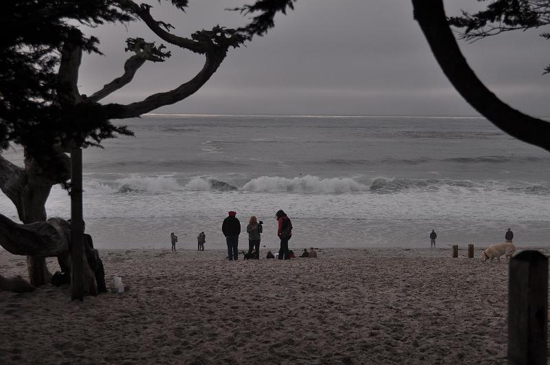 DSC_0919.JPG