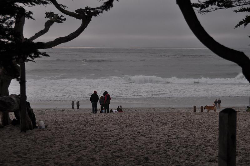 DSC_0920.JPG