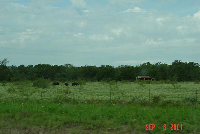 DSC00146.JPG