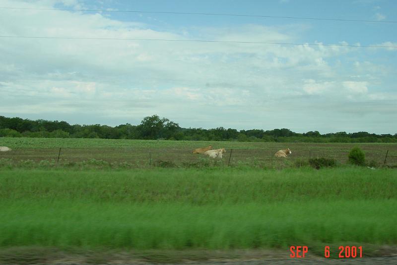DSC00152.JPG
