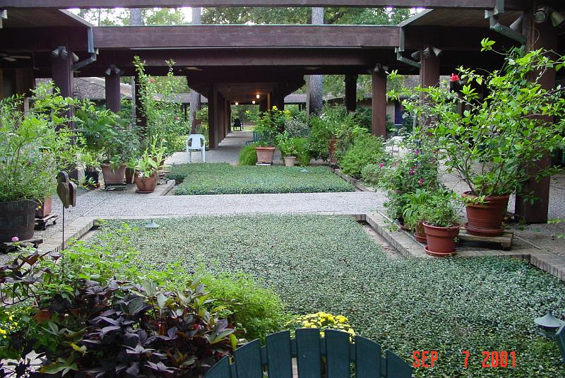 DSC00170.JPG