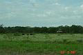DSC00146