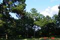 DSC00169