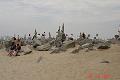 DSC00840