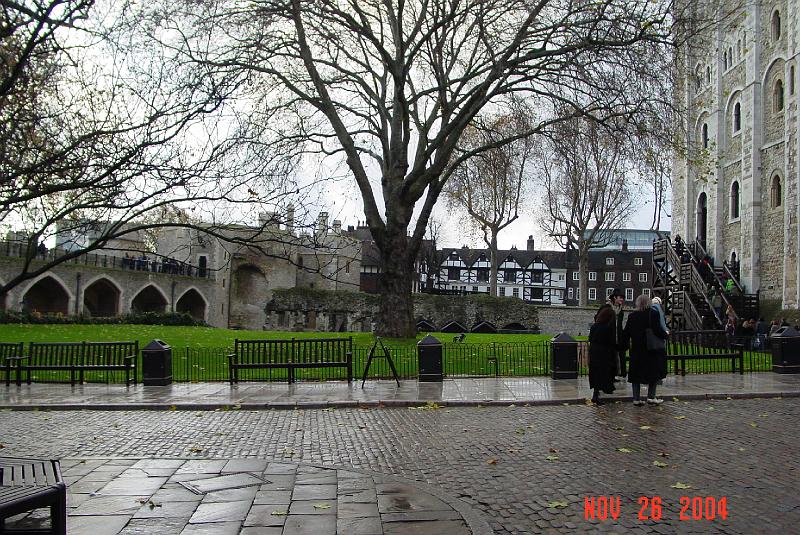 DSC03450.JPG