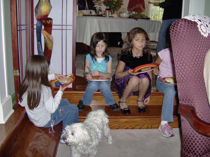 HPIM0365.JPG