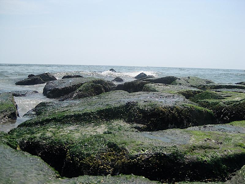 IMG_6897.JPG