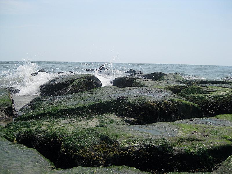 IMG_6898.JPG