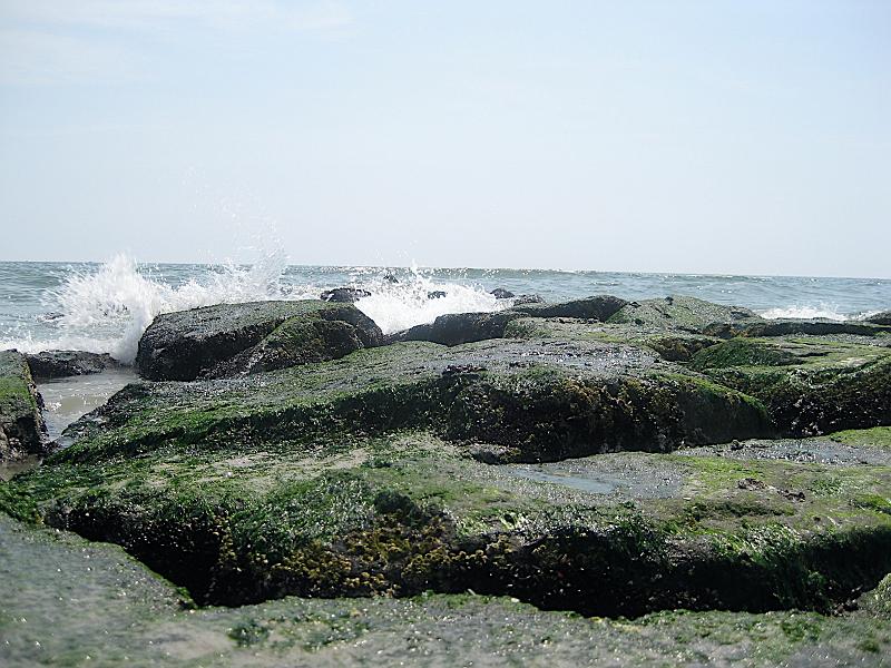 IMG_6899.JPG