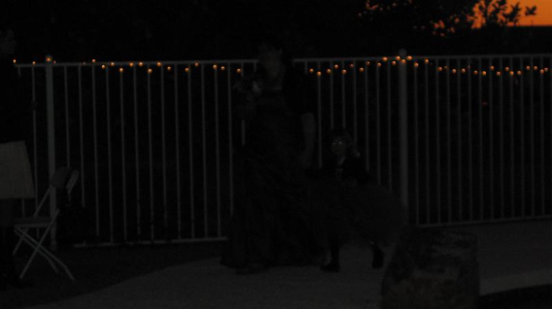 IMG_1833.JPG