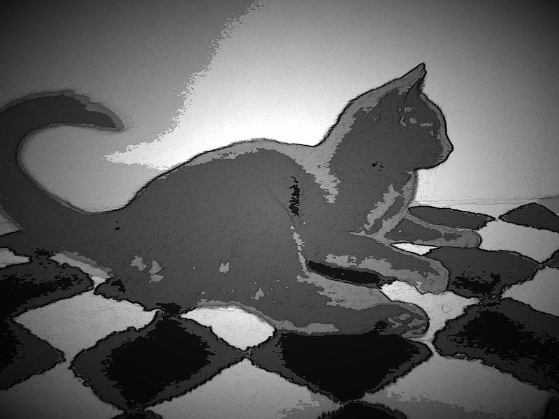 PaperCamera2014-04-22-00-14-52.jpg