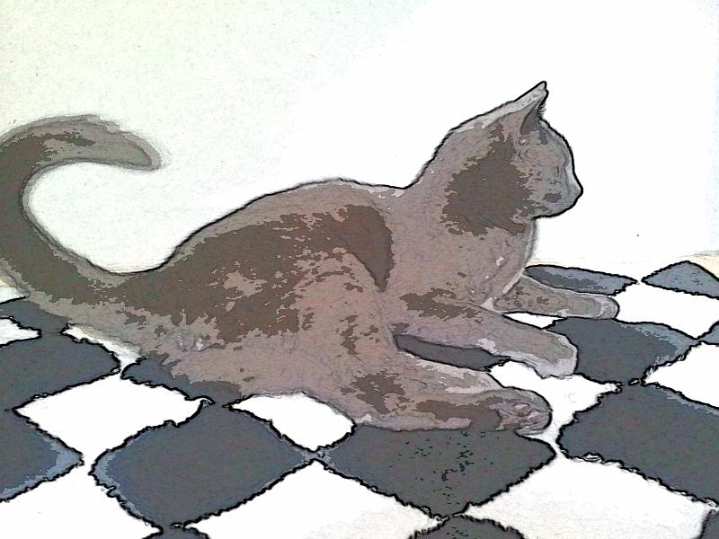 PaperCamera2014-04-22-00-17-44.jpg