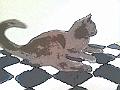 PaperCamera2014-04-22-00-17-44