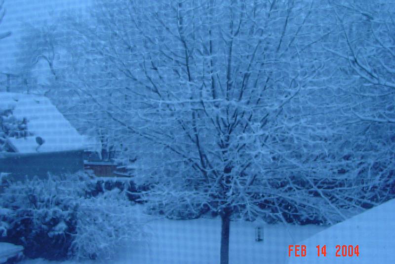 DSC02590.JPG