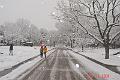 DSC02597A