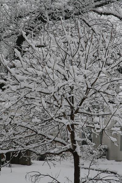 IMG_3906.JPG