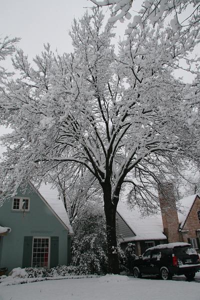 IMG_3913.JPG
