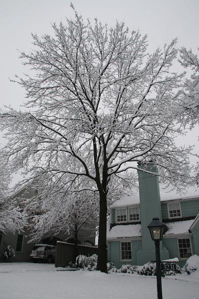IMG_3914.JPG