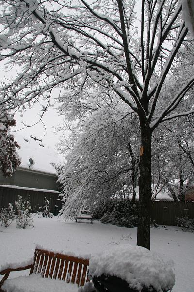 IMG_3950.JPG