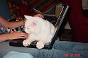 DSC04390