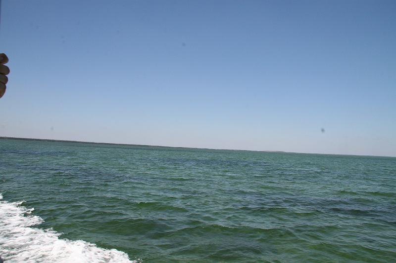 IMG_1204.JPG