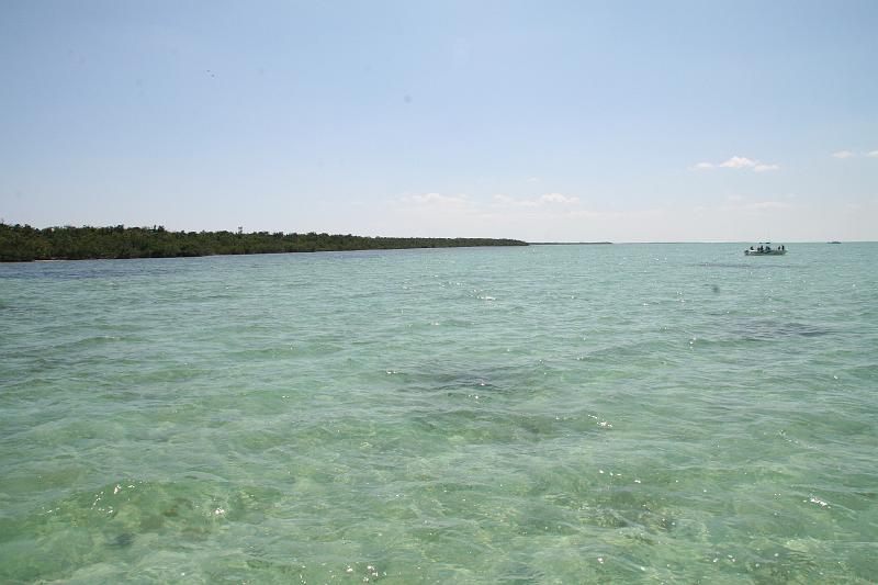 IMG_1218.JPG