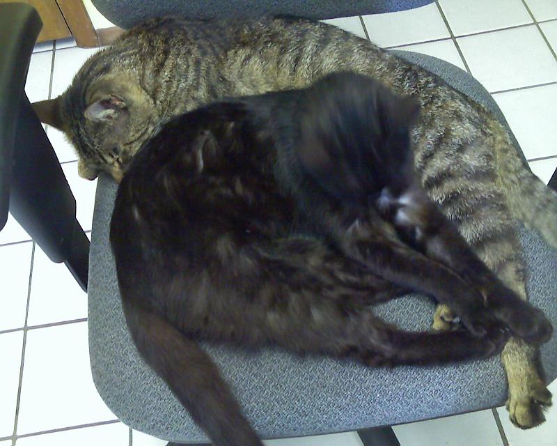 070526_161704.jpg