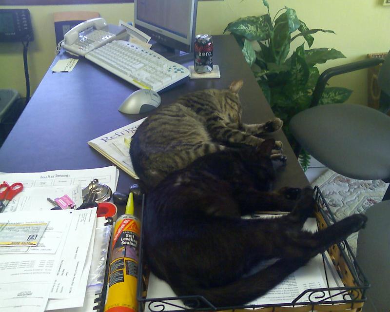 070628_170007.jpg