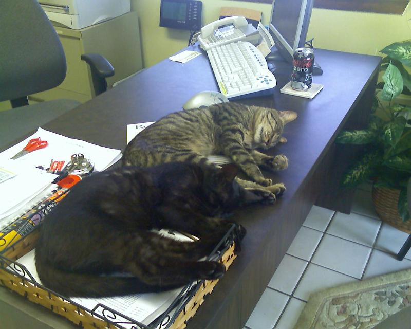 070628_170031.jpg