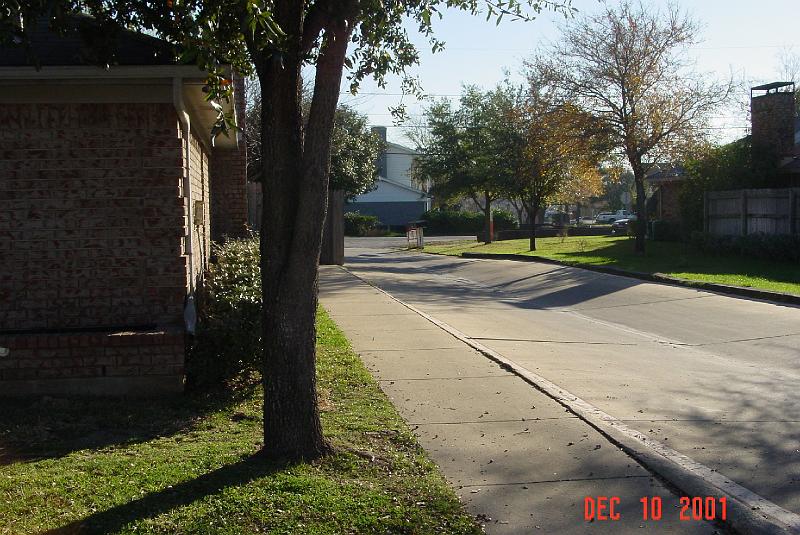 DSC00360.JPG
