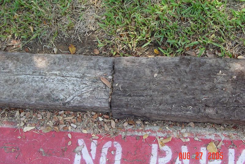 DSC04062.JPG