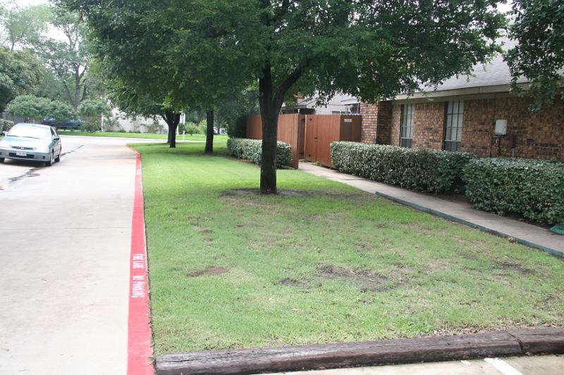 driveway.jpg