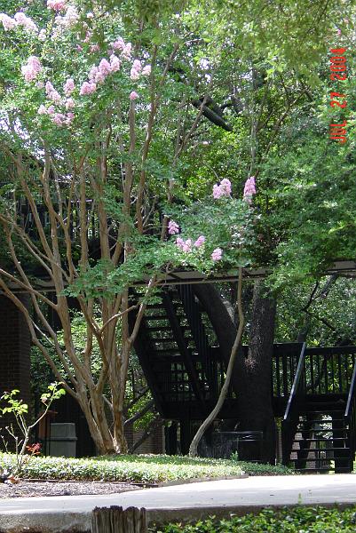 DSC03109.JPG