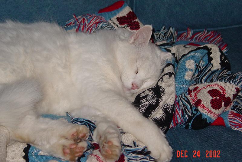 DSC01068.JPG
