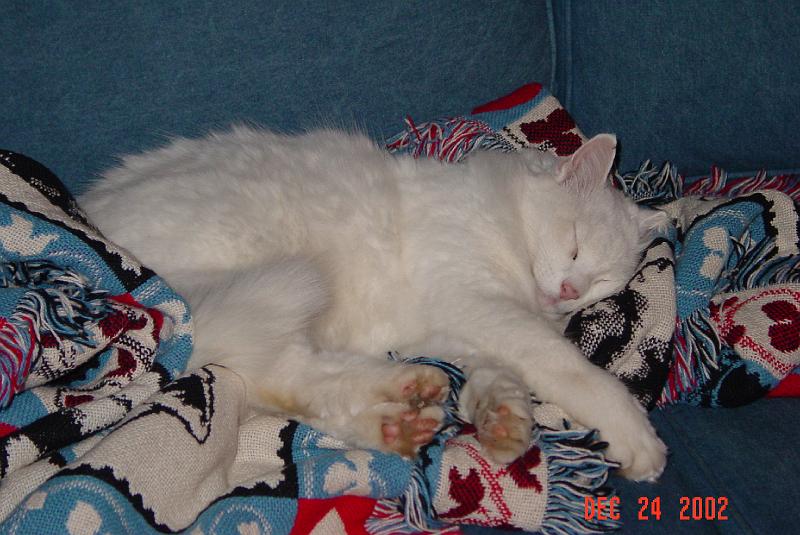 DSC01069.JPG