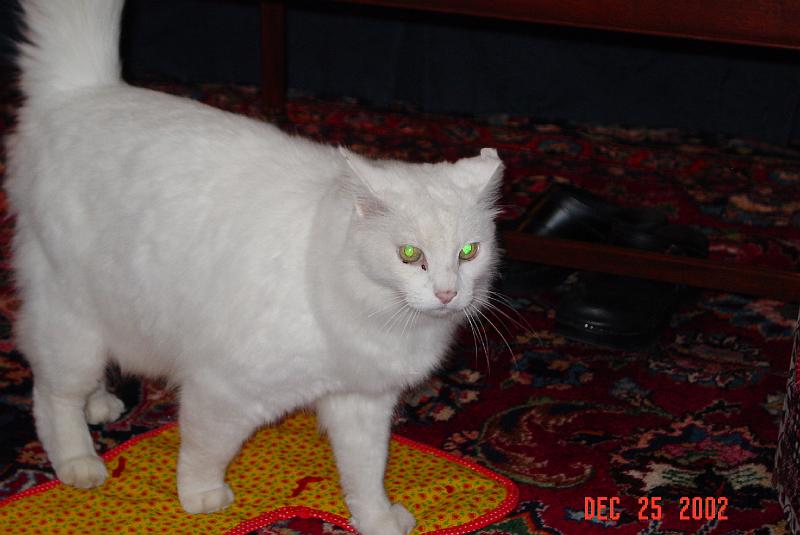 DSC01102.JPG
